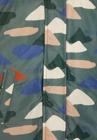 Petit Bateau DOUDOUNEVAL UNISEX - Vinterjacka - vallee/multico