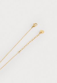 Collana d'oro con chiusura a molla e dettaglio circolare. Presenta piccoli segmenti della catena collegati e una finitura lucida.