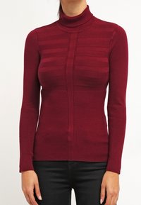 Maglione a collo alto bordeaux con texture a coste, caratterizzato da dettagli a strisce verticali sul petto e tessuto liscio sui pannelli.