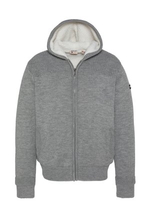 Hoodie - h grey