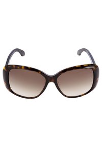 calvin klein havana glasses
