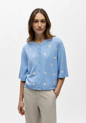 Object Gilet - serenity