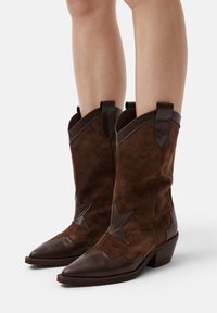 Stivali da cowboy in suede marrone con punta affilata, dettagli a stella e colletto in pelle a contrasto, dotati di tacco basso a blocco.