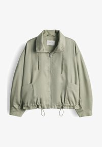Geselecteerd, pale olive