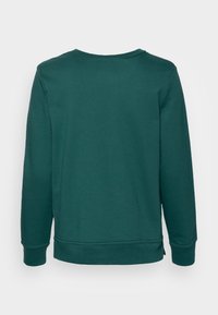 Sudadera verde de mangas largas, cuello redondo y dobladillo acanalado. Fabricada en una tela suave y cómoda. Presenta una textura lisa sin patrones.
