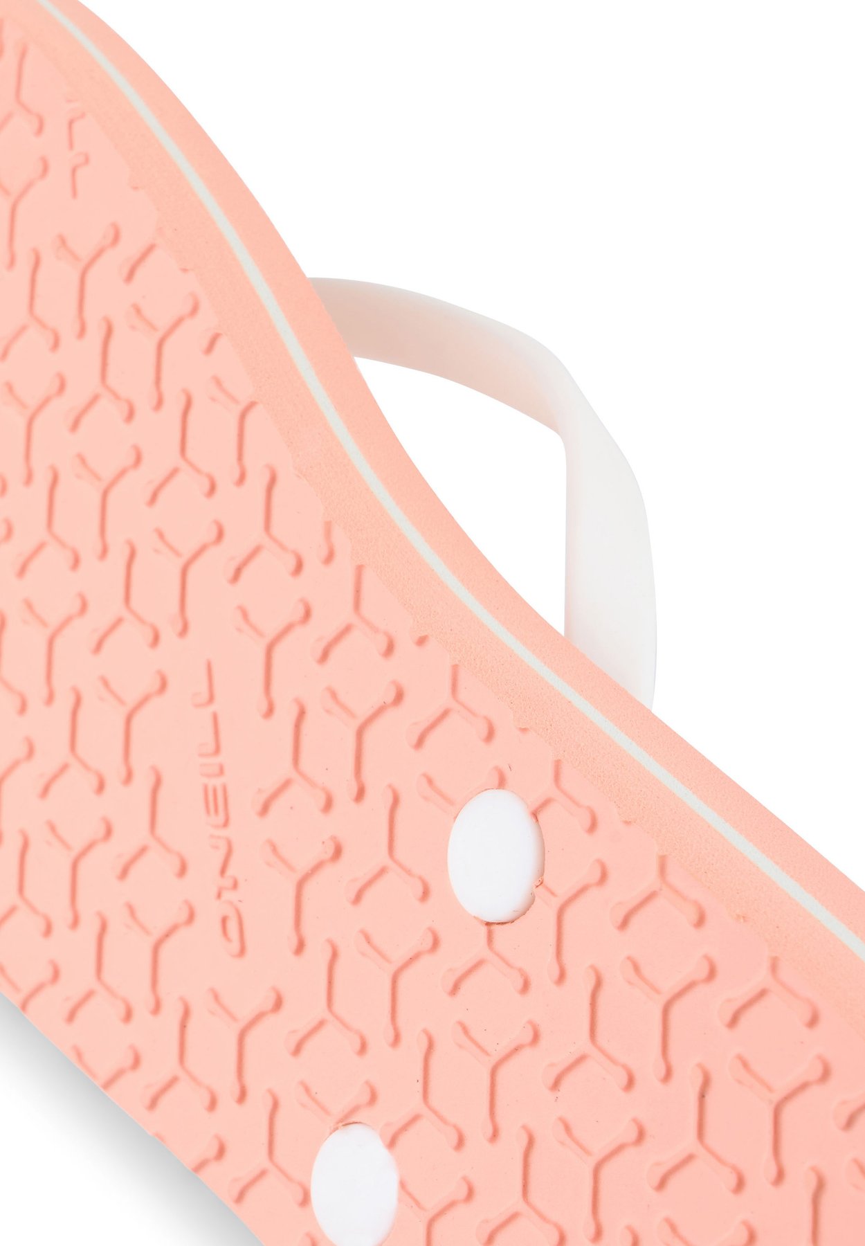 PROFILE GRAPHIC