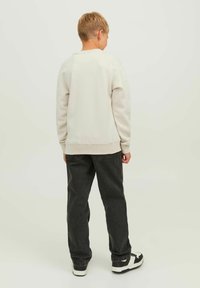 Felpa grigia chiara con scollo rotondo, polsini e orlo a costine. Abbinata a jeans grigi scuri e sneakers nere e bianche.