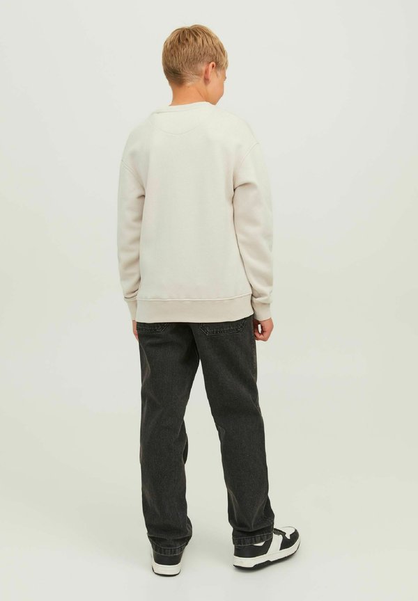 JORVESTERBRO CREW NECK NOOS - Sweatshirt - moonbeam2