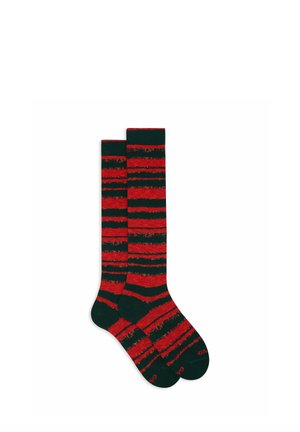 LUNGHE RIGA SFUMATA - Socken - green