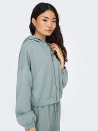 Lichtgroene capuchontrui met ritssluiting, een ontspannen pasvorm, elastische manchetten en een trekkoord aan de zoom. Zachte stof met een gladde textuur.