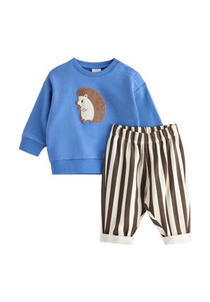 Felpa blu per bambino con toppa a forma di riccio e pantaloni con vita elasticizzata a righe verticali marroni e bianche.