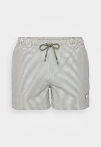 Non sélectionné, white/green lichen