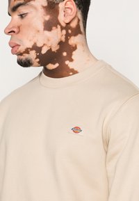 Dickies OAKPORT - Camisola - cement