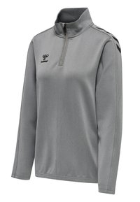 Grå zip-up sweatshirt gjord av ett slätt tyg. Har hög krage, långa ärmar och svarta detaljer längs sidorna med en logo på bröstet.