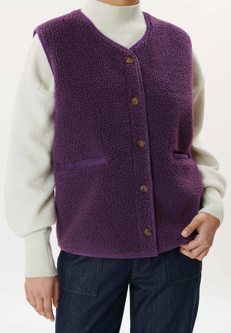 LABDIP BARNEY fioletowy