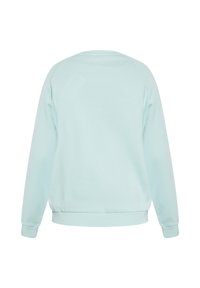 Felpa azzurra con una texture morbida, scollatura a girocollo e polsini a costina. Presenta un design sul retro semplice, senza motivi o decorazioni.