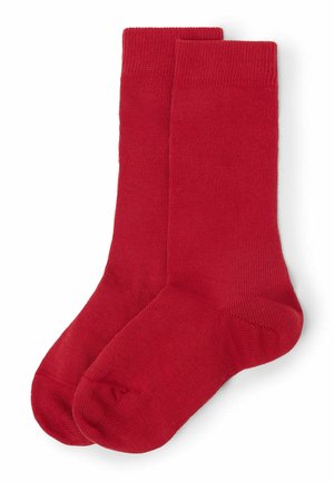 CALZEDONIA - Calcetines hasta la rodilla - red