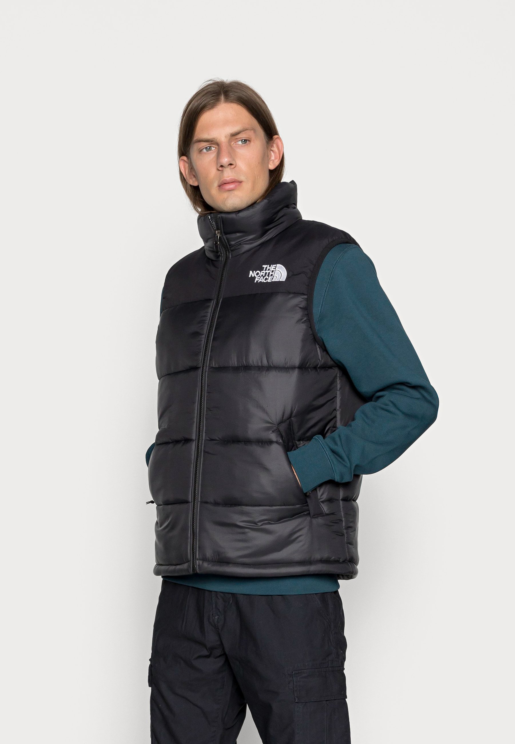 the north face vest