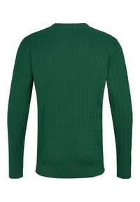 U.S. Polo Assn. MADS - Trui - rain forest
