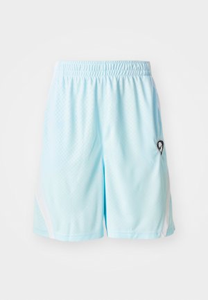 Light blue athletic shorts featuring a breathable fabric, elastic waistband, side pockets, and a subtle checkered pattern. Black logo detail.