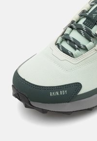 Adidas Terrex ANYLANDER - Chaussures de marche - linen green/silver green/legend ivy