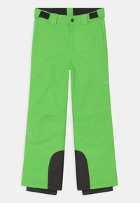 Icepeak LENZEN UNISEX - Jardineiras - leaf green