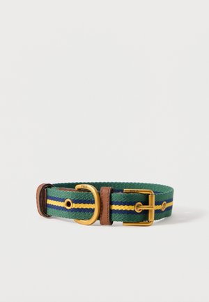Green fabric dog collar with yellow and blue stripes, brown leather trim, and gold metal buckle and D-ring engraved with "POLO".