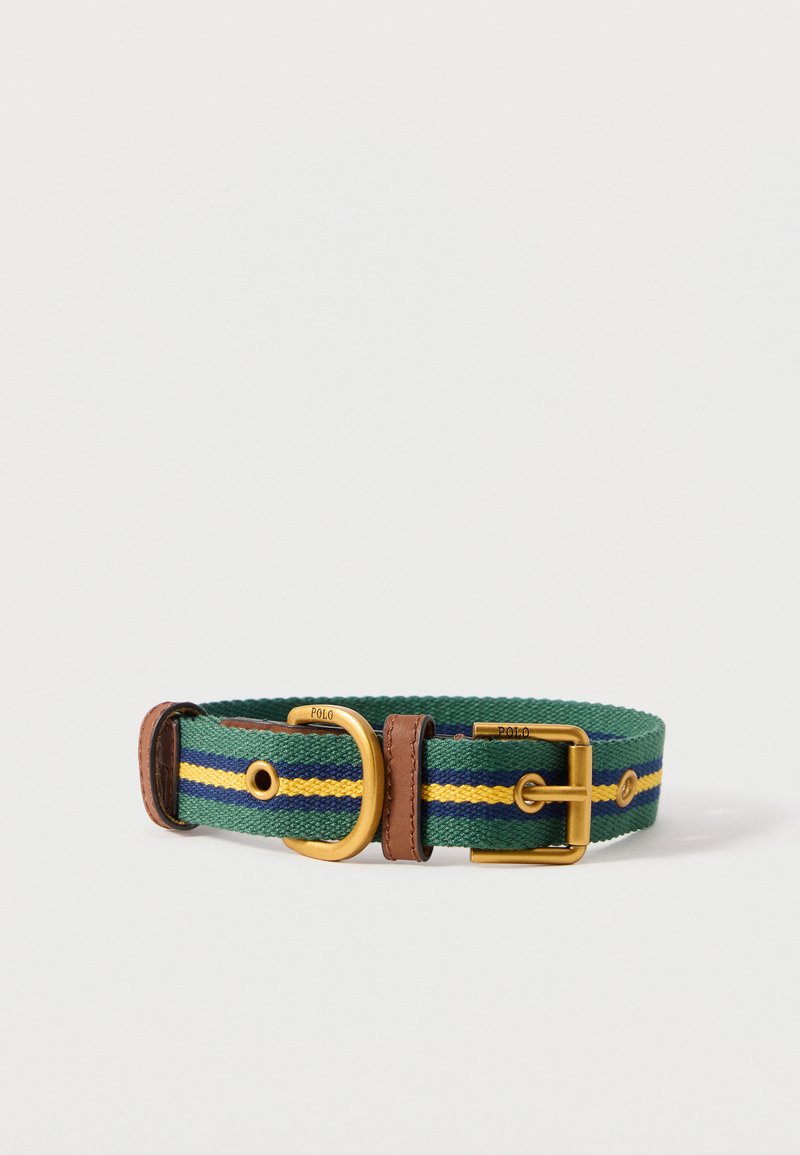 Collier pour chien en tissu vert avec des rayures jaunes et bleues, bordure en cuir marron et boucle en métal doré et anneau en D gravés "POLO".