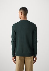 Maglione lavorato a maglia verde scuro con maniche lunghe, polsini e orlo a coste, design semplice con scollo rotondo, indossato al contrario, che mostra una trama liscia.