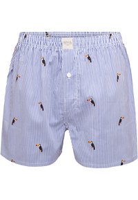 Phil & Co. Berlin 6-PACK CLASSIC - Boxershorts - multi coloured