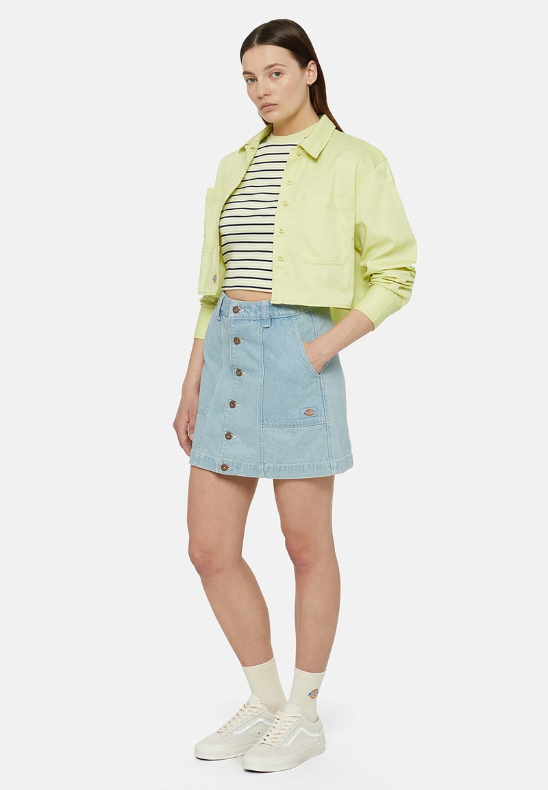 Dickies T-shirt print lichtgroen