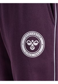Violeta sporta bikses ar baltu akcentu šuvēm, uz augšstilba ir noformēts apaļš logs ar uzrakstu "SPORTA APĢĒRBS" un "KOPŠ 1923" no strukturētas auduma.