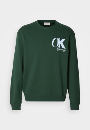 Sudadera de algodón verde con mangas largas, cuello redondo y logo blanco de Calvin Klein en el pecho. Textura suave y puños acanalados.