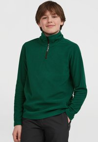 Groene fleecepullover met een halflange rits en een opstaande kraag, en een zwarte rits. Glad textuur en lange mouwen zonder zichtbare patronen.