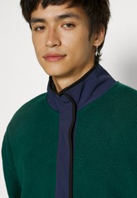 Levi's® MOCK NECK - Fleece jumper - arctic ponderosa pine