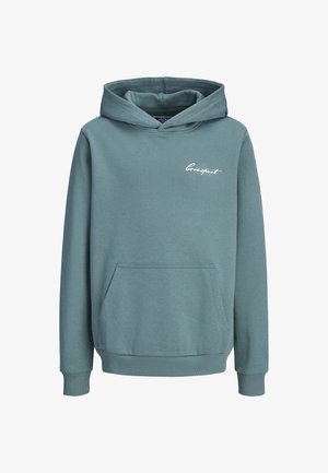 Felpa con cappuccio color teal, realizzata in morbido tessuto misto cotone. Presenta una tasca frontale, polsini a costine e il logo ricamato "lovesport" sul petto.