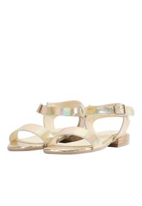 Flade sandaler med metallisk finish, der har en struktureret iriserende rem og en smal ankelrem, sat på en lys træblok hæl.