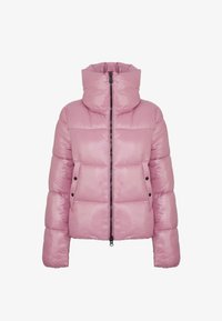 Selezionato, wild orchid