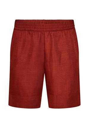 Pantalones cortos de lino color óxido con cintura elástica y un ajuste relajado, mostrados de frente sobre un fondo blanco.