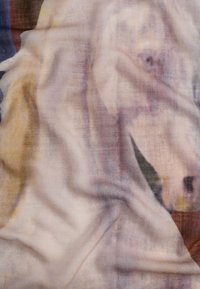 Przezroczysty materiał o miękkiej teksturze, z abstrakcyjnym wzorem w jasnych kolorach, z dominującym konturem w kształcie konia i płynącymi wzorami.