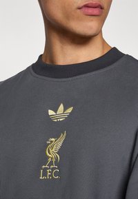 Hanorac gri cu guler negru reiat. Prezintă logo-ul Adidas brodat cu fir auriu și emblema Liverpool FC pe partea din față.