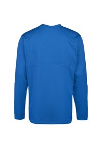 Camisa de manga larga en un brillante azul sólido, hecha de una tela texturizada. Presenta un cuello redondo y un detalle de costura en la parte posterior.