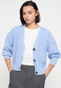 Ανοιχτό μπλε πλεκτή ζακέτα με κοντά, γυριστά μανίκια και V-λαιμόκοψη. Διαθέτει πέντε στρογγυλά, καφέ κουμπιά κατά μήκος του μπροστινού μέρους. Υφή υφάσματος.