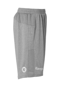 Grijze sportieve shorts van zachte stof, met een elastische tailleband, zijpanelen en witte logo-accenten. Het ontwerp benadrukt comfort en bewegingsvrijheid.