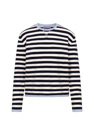 Trui met lange mouwen met zwarte en witte horizontale strepen, lichtblauwe kraag en manchetten, en een klein logovlaggetje vlak bij de zoom.