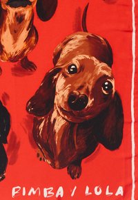 Kaks pruuni taksikoera illustratsioon elava punase tausta peal. Koertel on suured silmad ja eristuvad pikad kehadega lühikeste jalgadega.