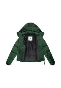 Groene gewatteerde jas met een capuchon, met een gladde buitenkant, ritssluiting en een zwart met patroon gevoerde binnenzijde.