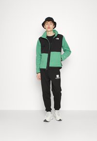 The North Face DENALI - Flisinė striukė - deep grass green