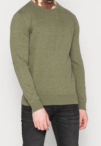 Maglione a collo rotondo di colore verde oliva, con maniche lunghe e polsini e orlo a coste. Indossato sopra una T-shirt con motivo, dalla texture liscia.