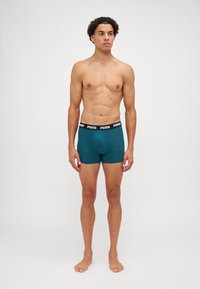Puma MEN EVERYDAY 3 PACK - Bokserbriefs - green combo